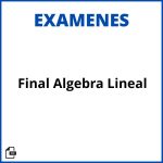 Evaluacion Final Algebra Lineal Soluciones Resueltos