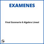 Evaluacion Final Escenario 8 Algebra Lineal Soluciones Resueltos