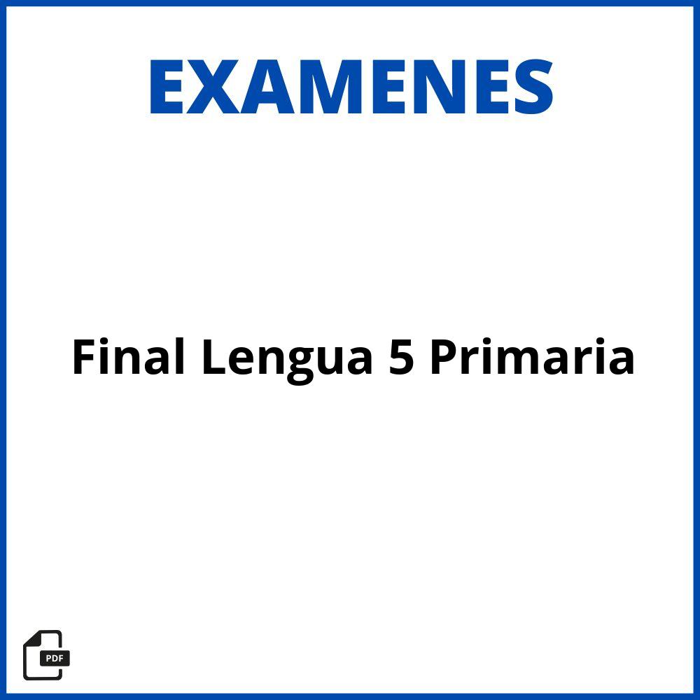 Examen Final Lengua 5 Primaria Pdf