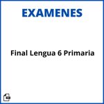 Examen Final Lengua 6 Primaria Pdf Resueltos Soluciones