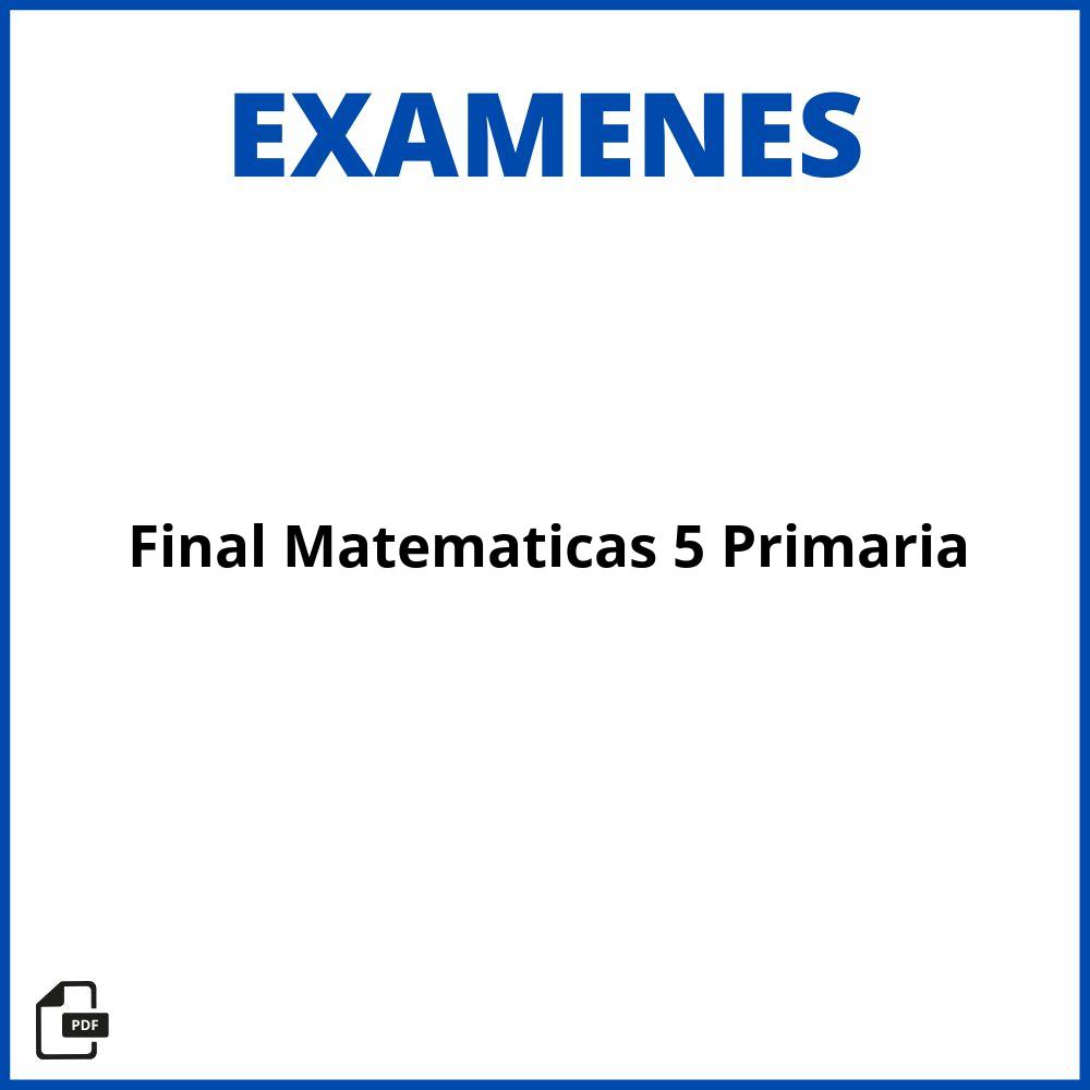 Examen Final Matematicas 5 Primaria Pdf