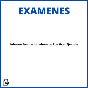 Informe Evaluación Alumnos Prácticas Ejemplo Resueltos Soluciones