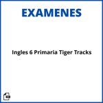 Examen Ingles 6 Primaria Tiger Tracks Soluciones Resueltos