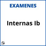 Evaluaciones Internas Ib Soluciones Resueltos