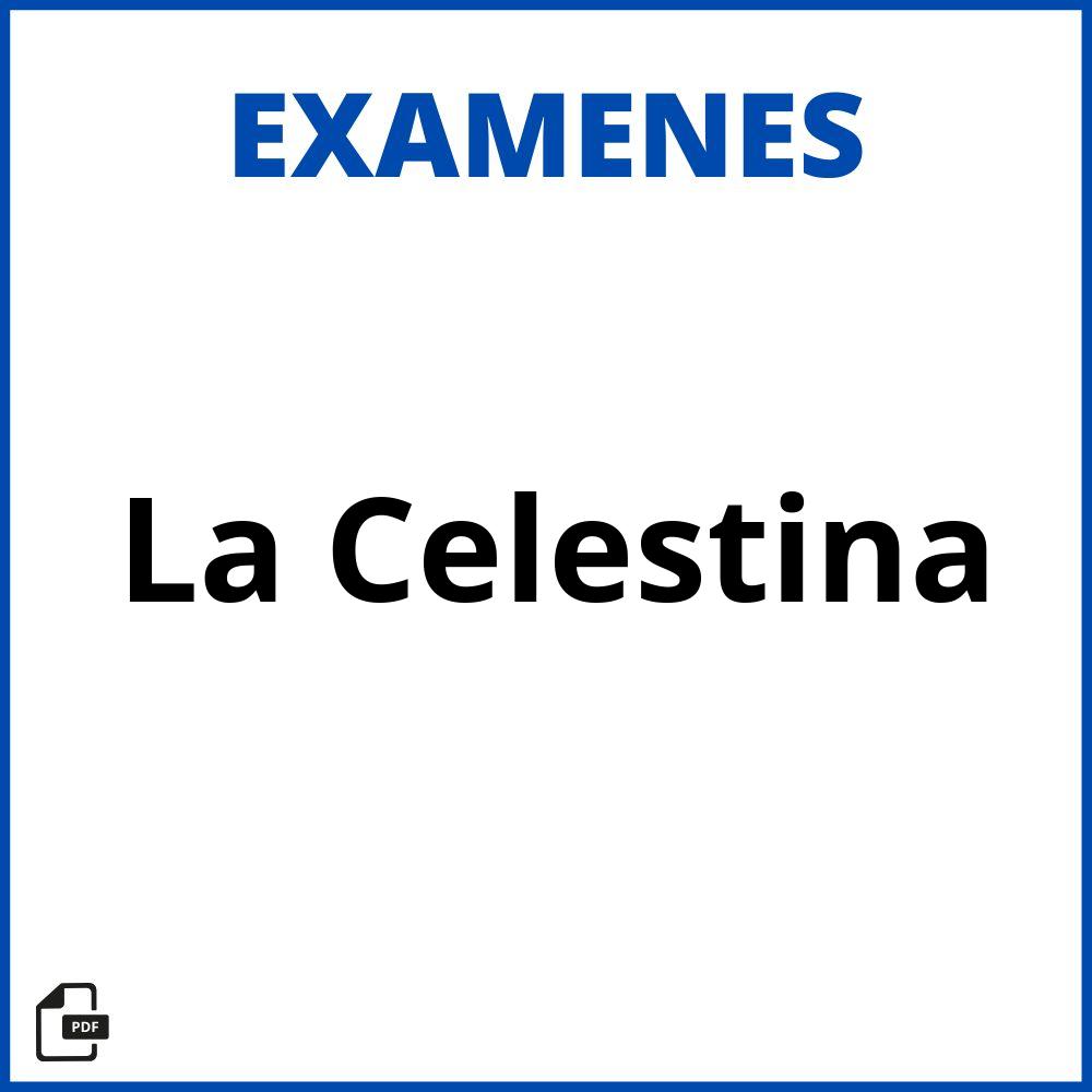 Examen De La Celestina