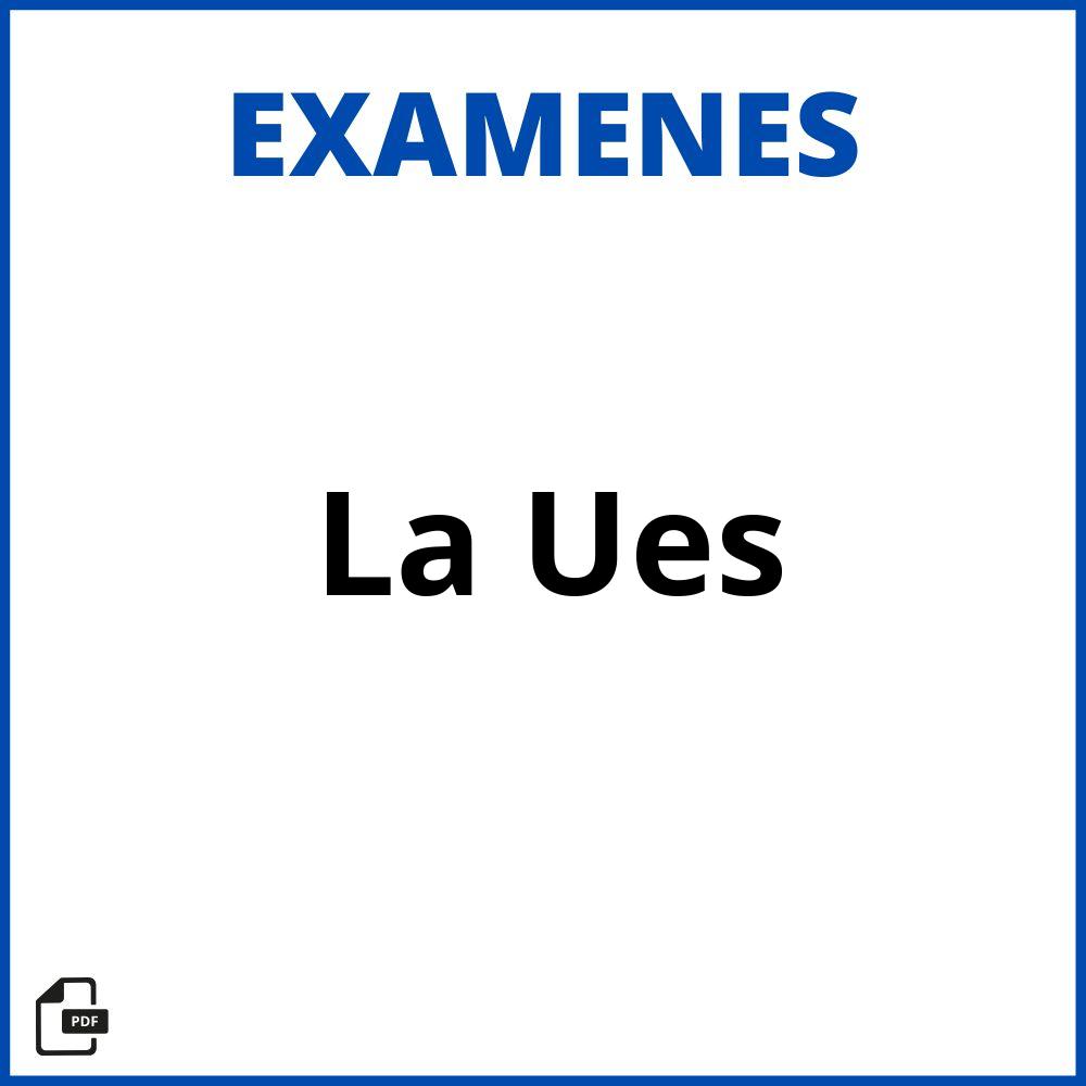 Examen De La Ues