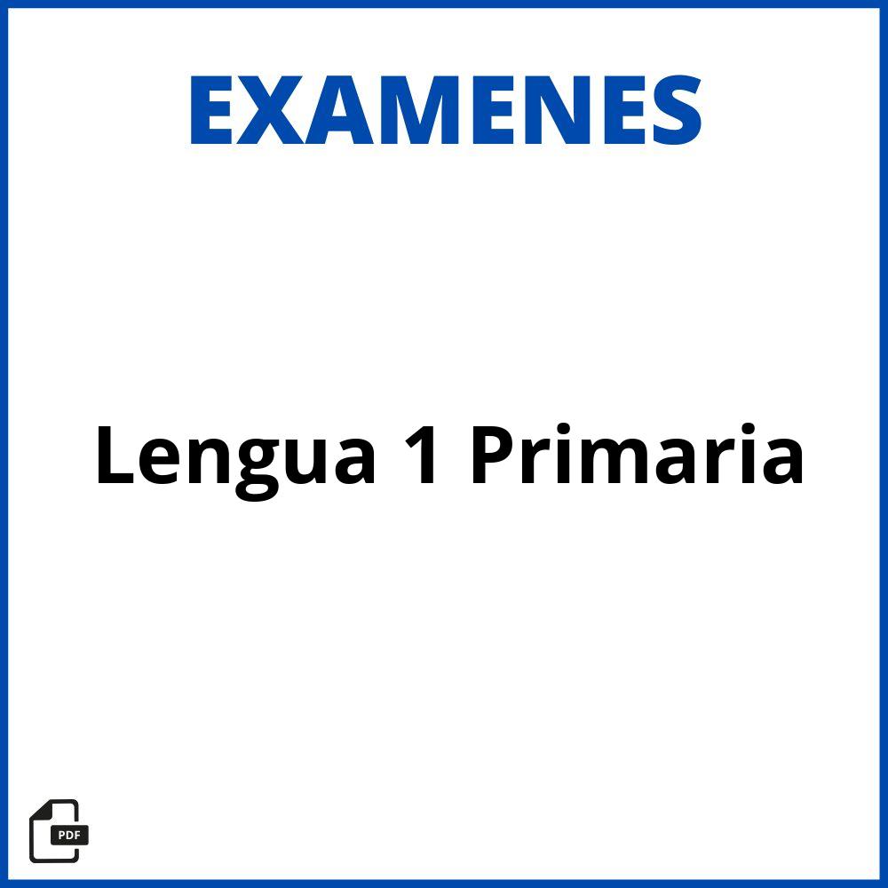 Examen De Lengua 1 Primaria