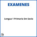 Evaluaciones Lengua 1 Primaria Sm Savia Pdf Resueltos Soluciones