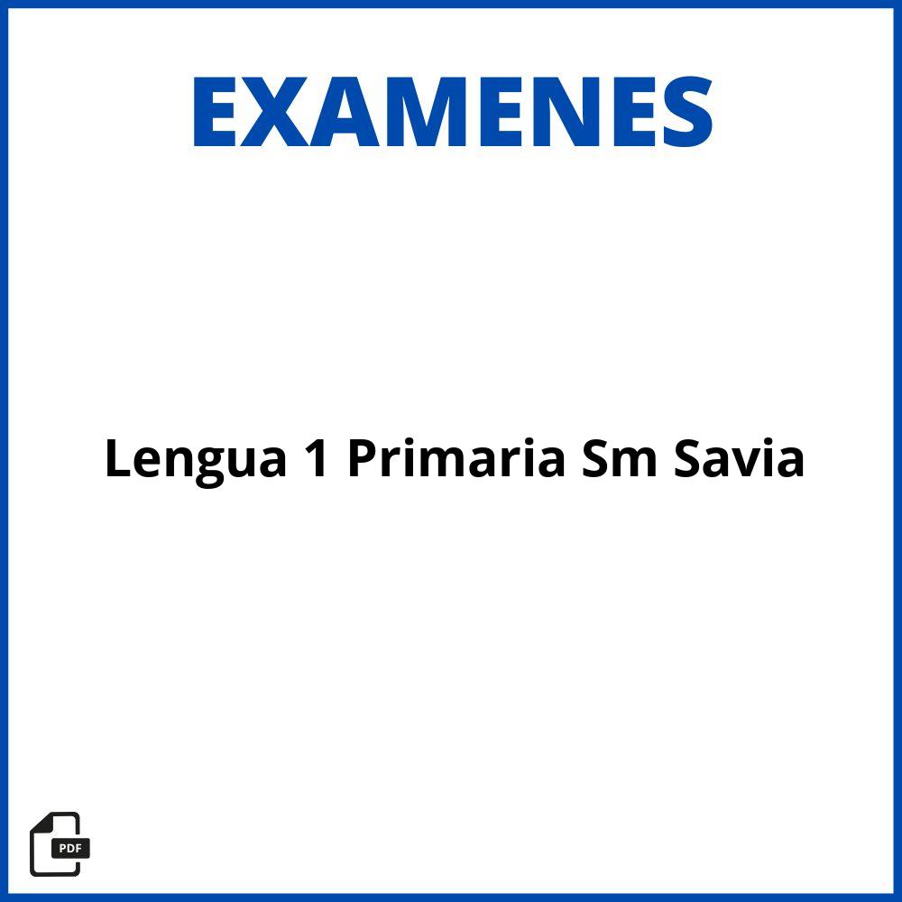 Evaluaciones Lengua 1 Primaria Sm Savia Pdf