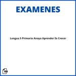 Evaluaciones Lengua 5 Primaria Anaya Aprender Es Crecer Resueltos Soluciones