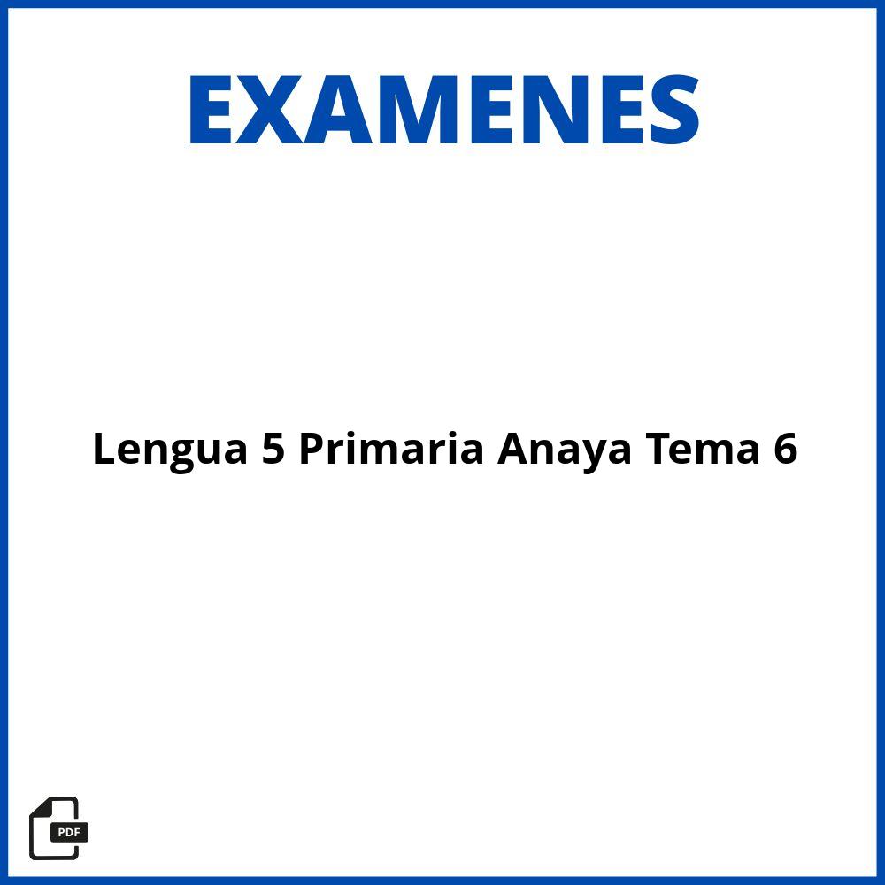 Evaluacion Lengua 5 Primaria Anaya Tema 6