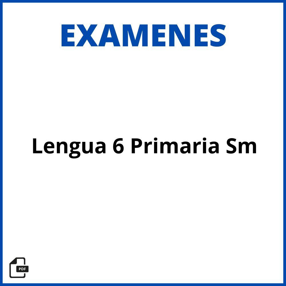 Examen Lengua 6 Primaria Sm