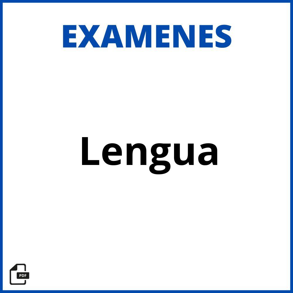 Examen De Lengua
