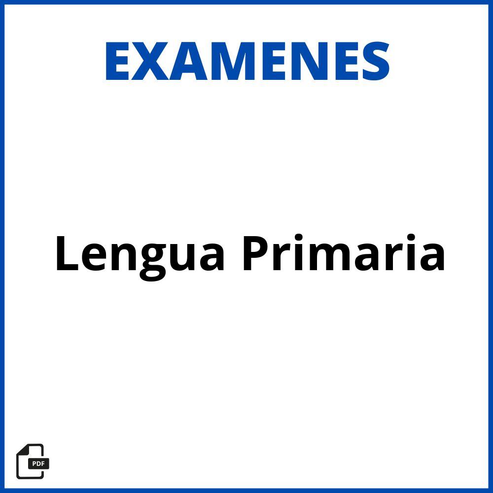 Examen Lengua Primaria