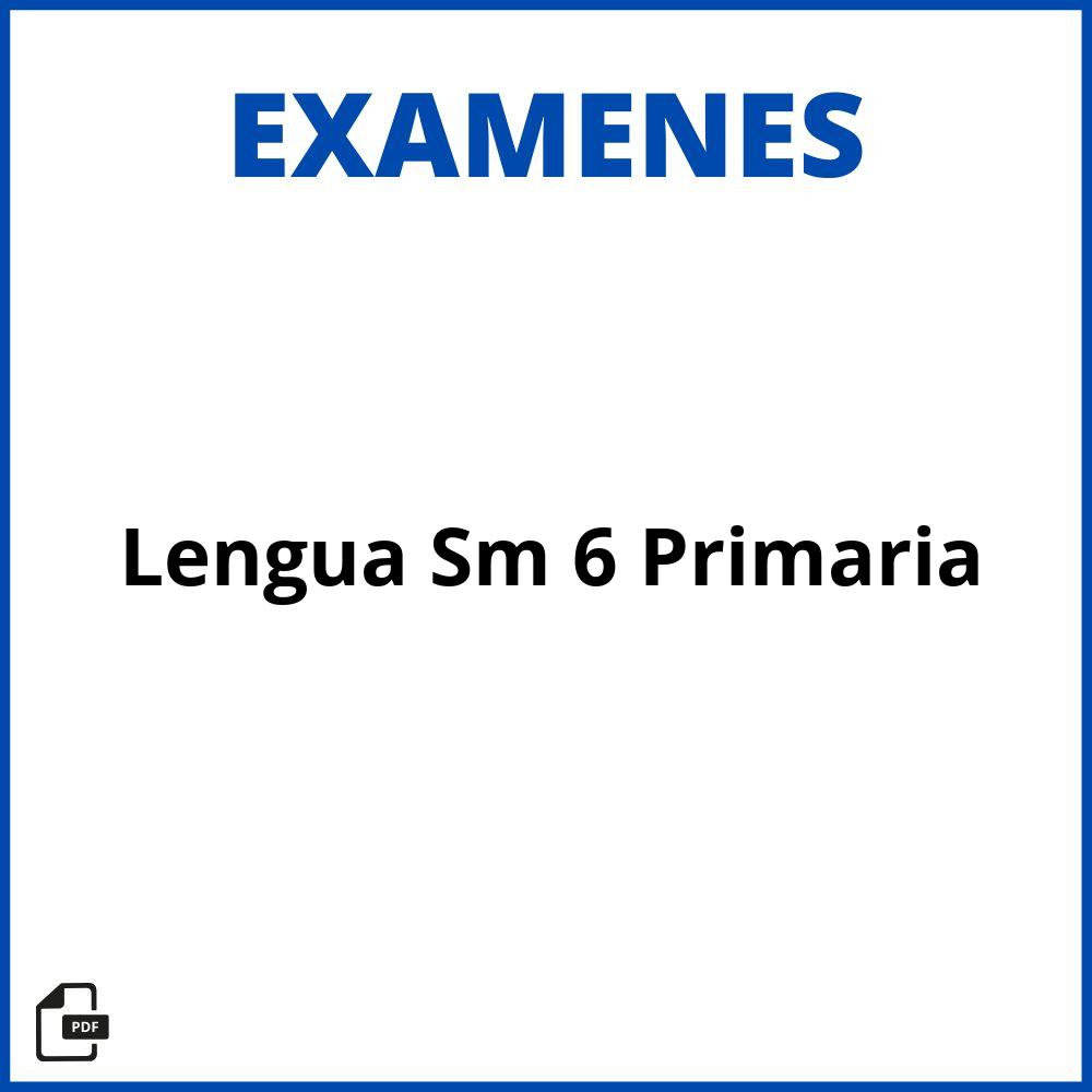 Examen Lengua Sm 6 Primaria