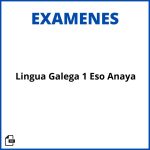 Exámenes De Lingua Galega 1 Eso Anaya Soluciones Resueltos