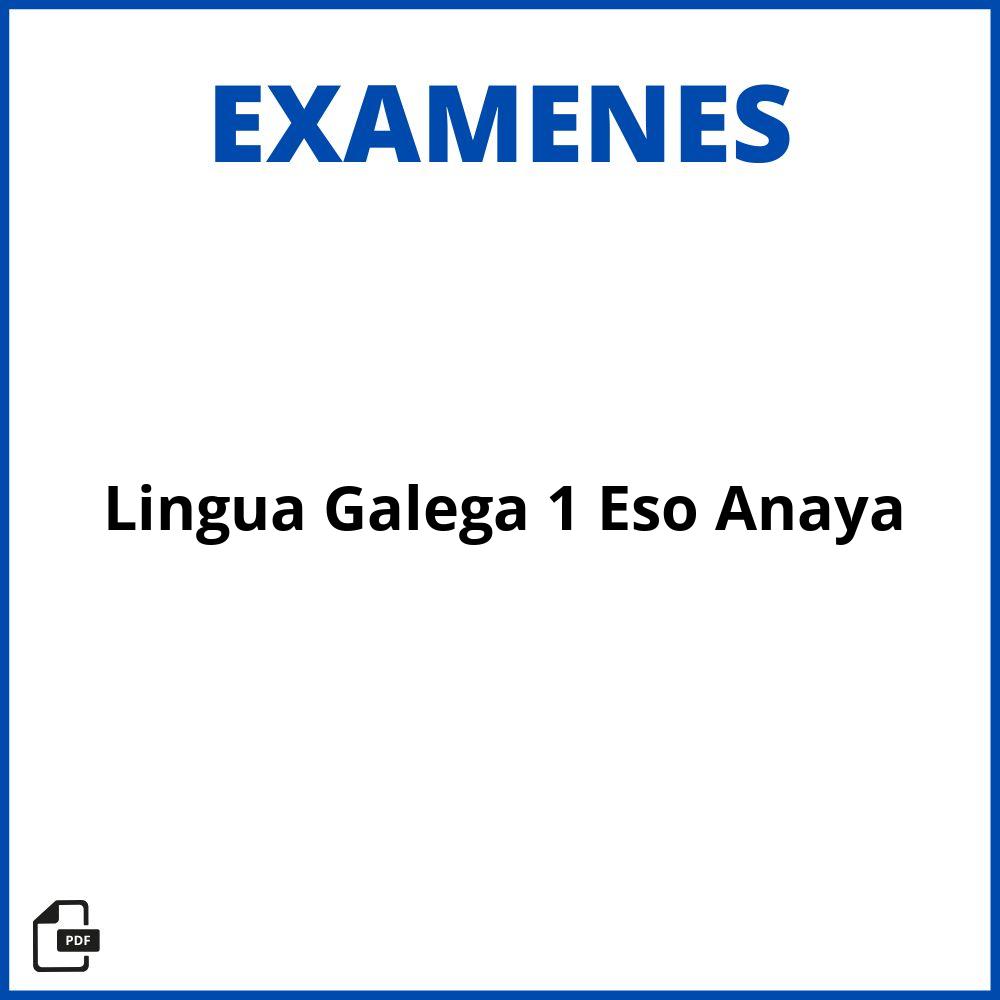 Exámenes De Lingua Galega 1 Eso Anaya