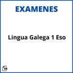 Examenes Lingua Galega 1 Eso Soluciones Resueltos