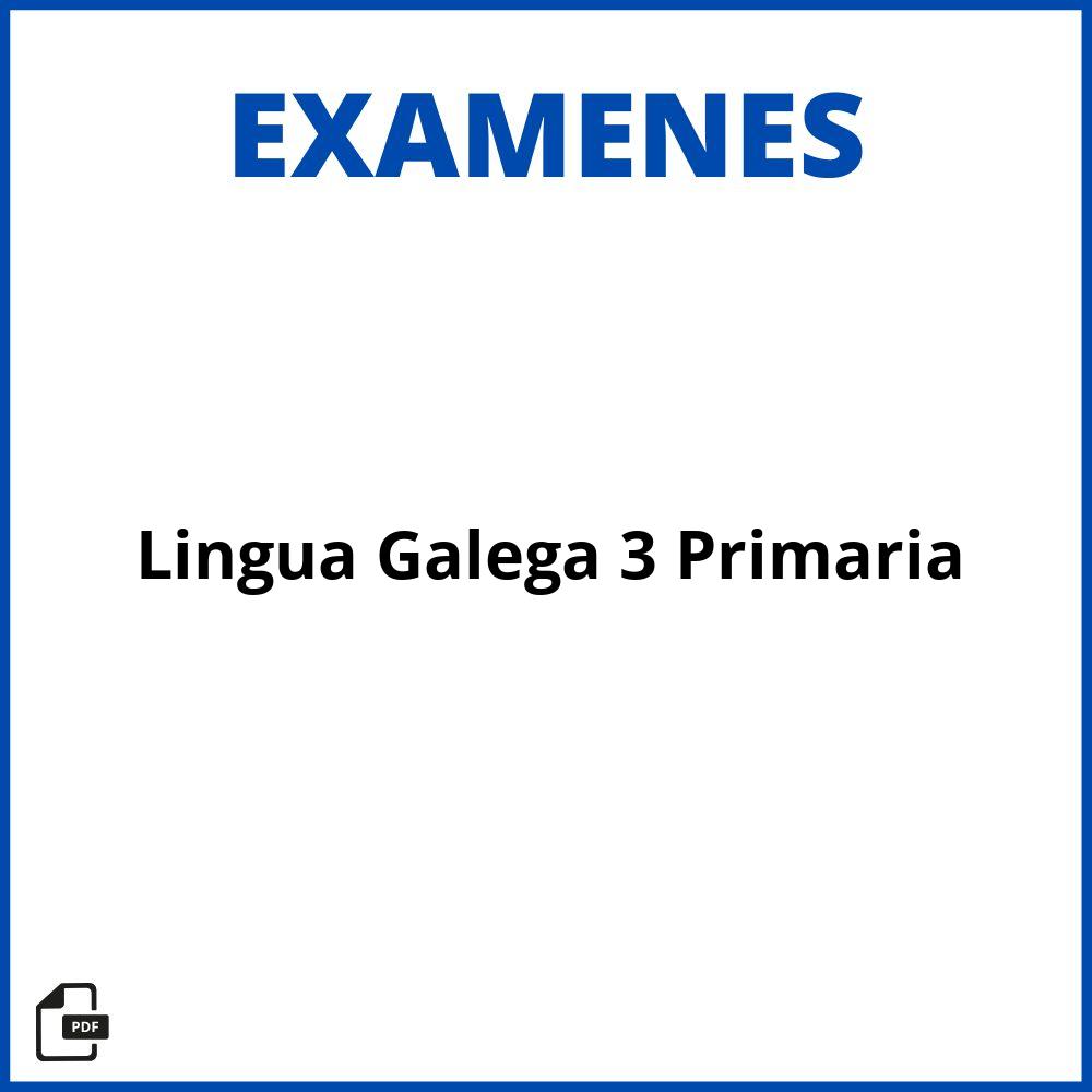 Examen Lingua Galega 3 Primaria