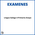 Examenes Lingua Galega 4 Primaria Anaya Resueltos Soluciones