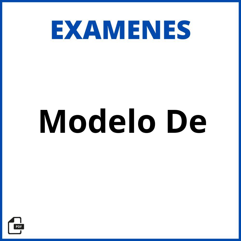 Modelo De Examen