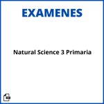 Examenes Natural Science 3 Primaria Pdf Resueltos Soluciones
