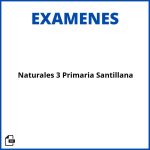 Evaluacion De Contenidos Naturales 3 Primaria Santillana Soluciones Resueltos