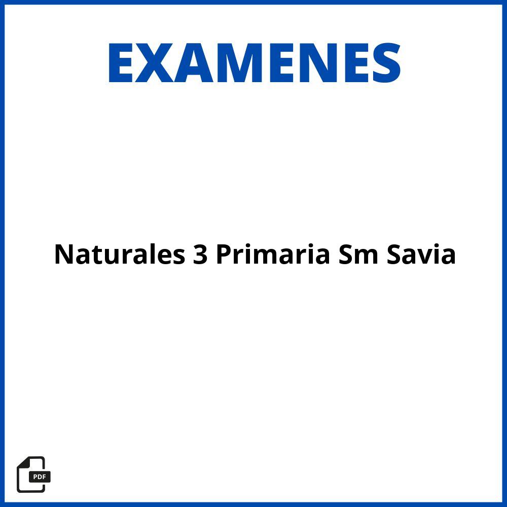 Evaluacion Naturales 3 Primaria Sm Savia