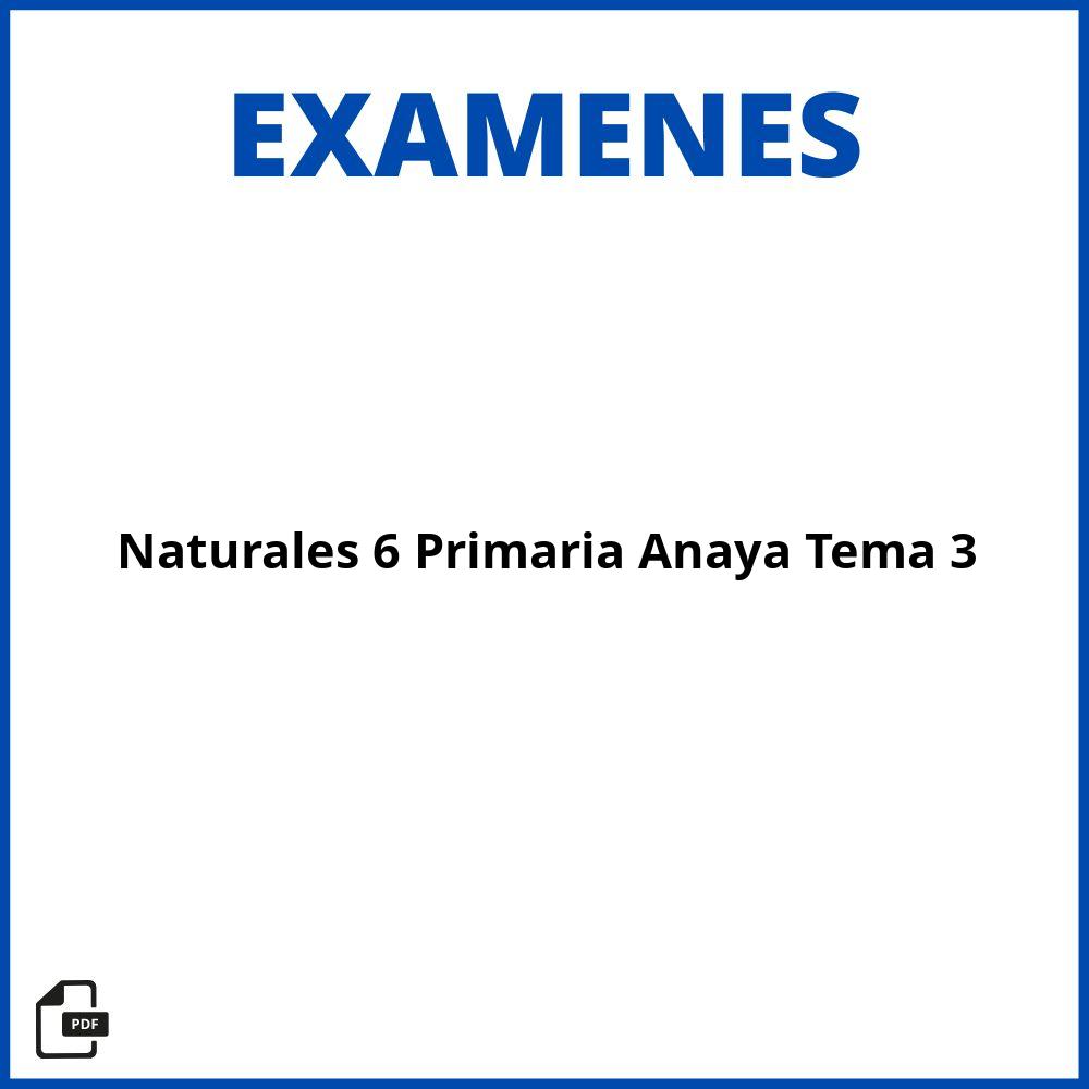 Examen Naturales 6 Primaria Anaya Tema 3