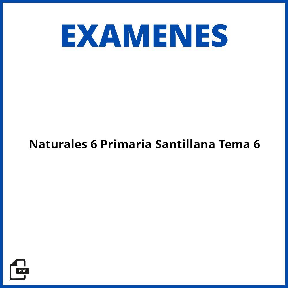 Examen Naturales 6 Primaria Santillana Tema 6