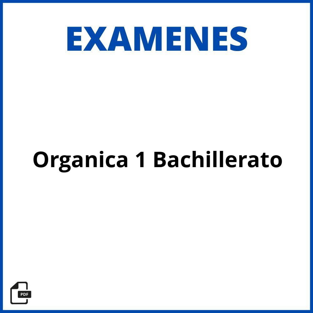 Examen Organica 1 Bachillerato