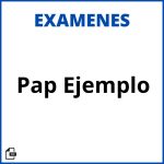 Pap Examen Ejemplo Soluciones Resueltos