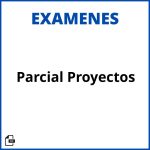 Parcial Evaluacion De Proyectos Soluciones Resueltos