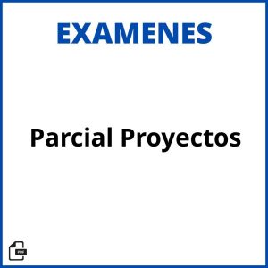 Parcial Evaluacion De Proyectos Soluciones Resueltos