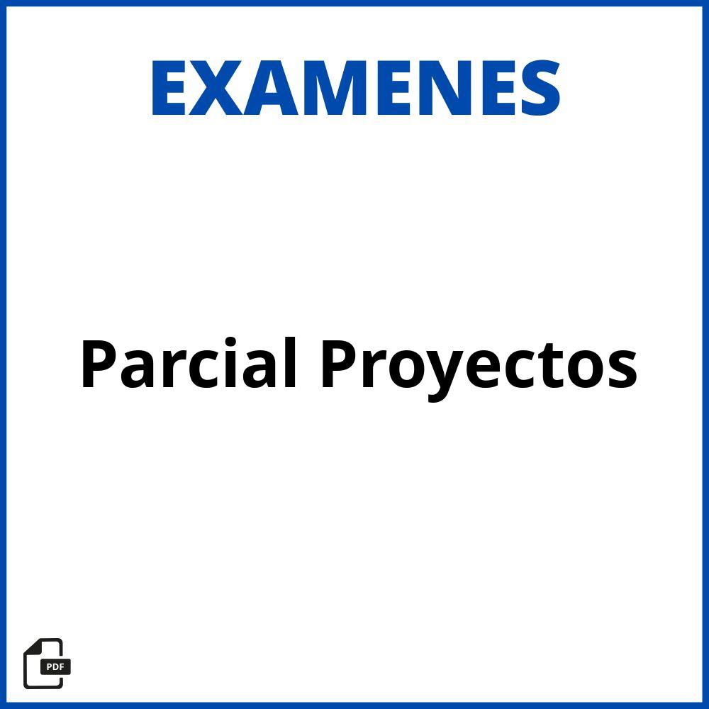 Parcial Evaluacion De Proyectos