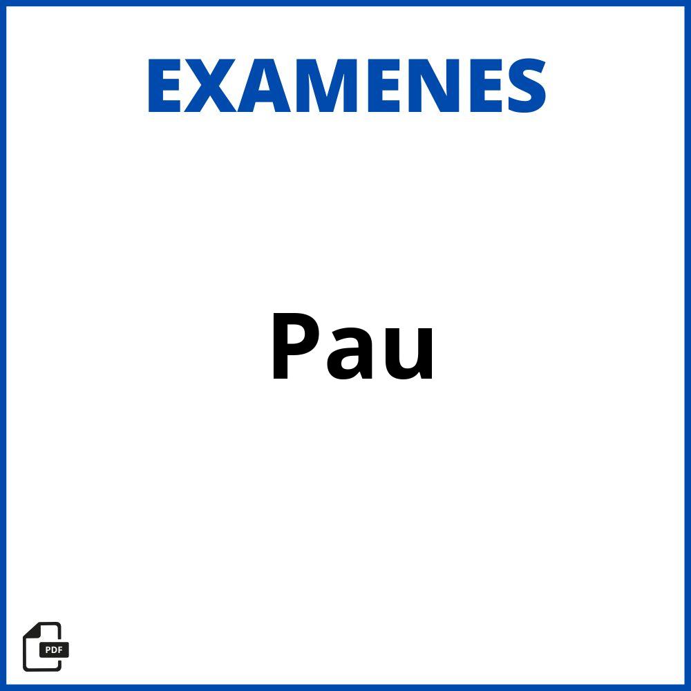 Examenes De Pau