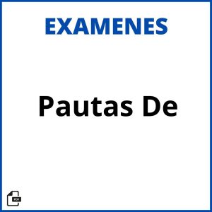 Pautas De Evaluacion Soluciones Resueltos