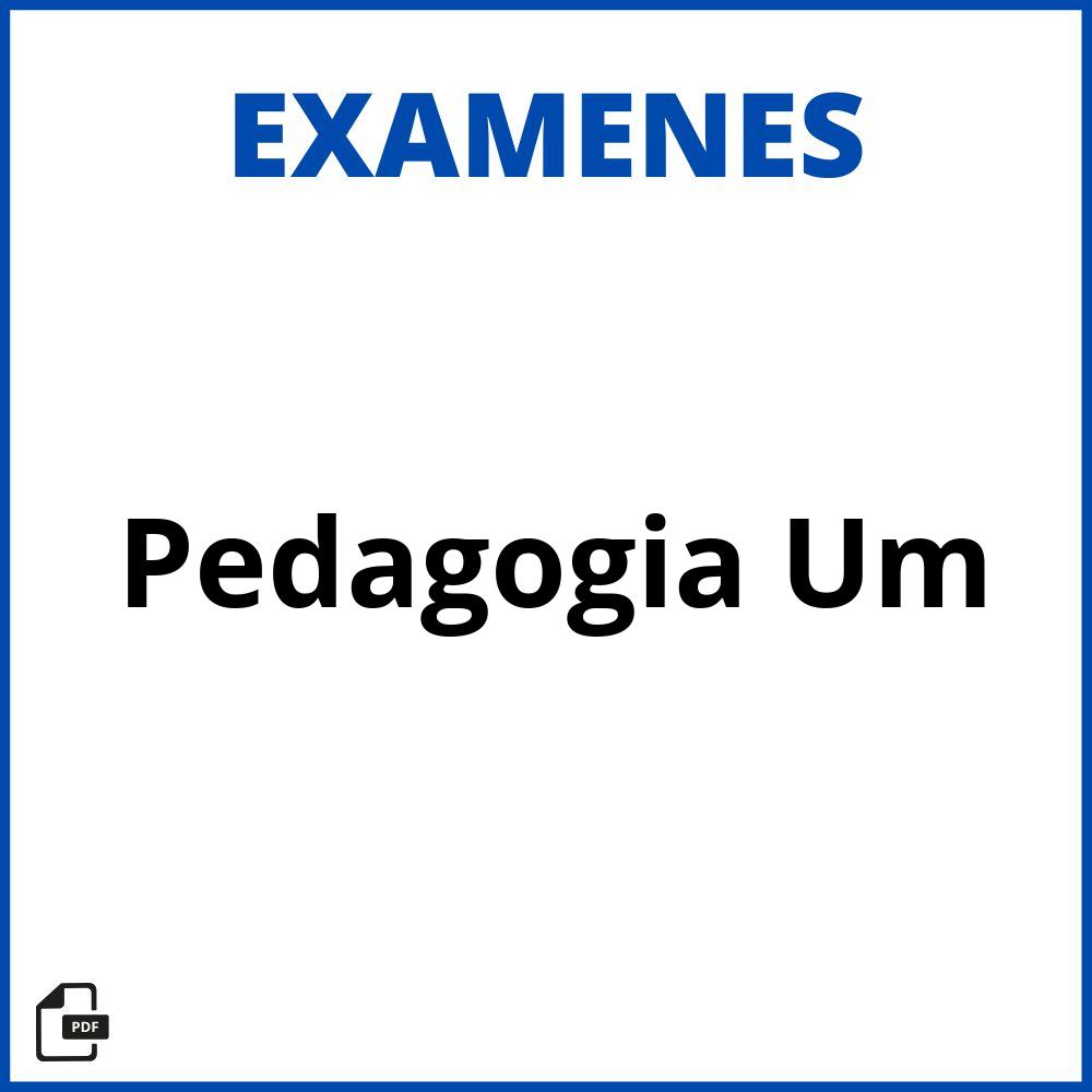 Examenes Pedagogia Um