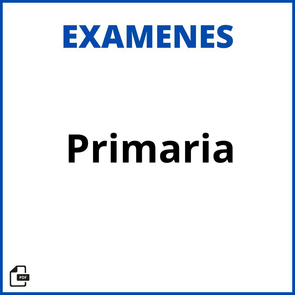 Examenes De Evaluacion Primaria