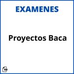 Evaluacion De Proyectos Baca Resueltos Soluciones