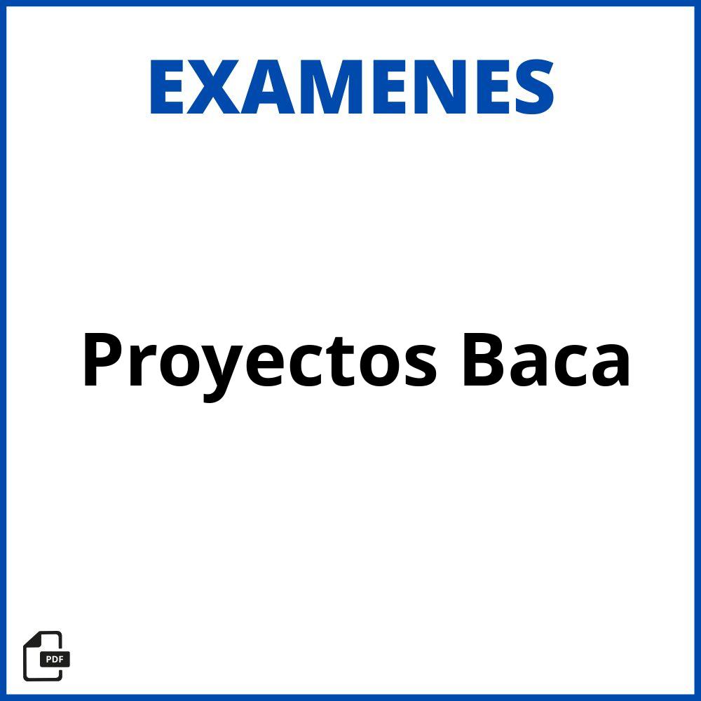 Evaluacion De Proyectos Baca