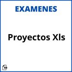 Evaluacion De Proyectos Xls Resueltos Soluciones