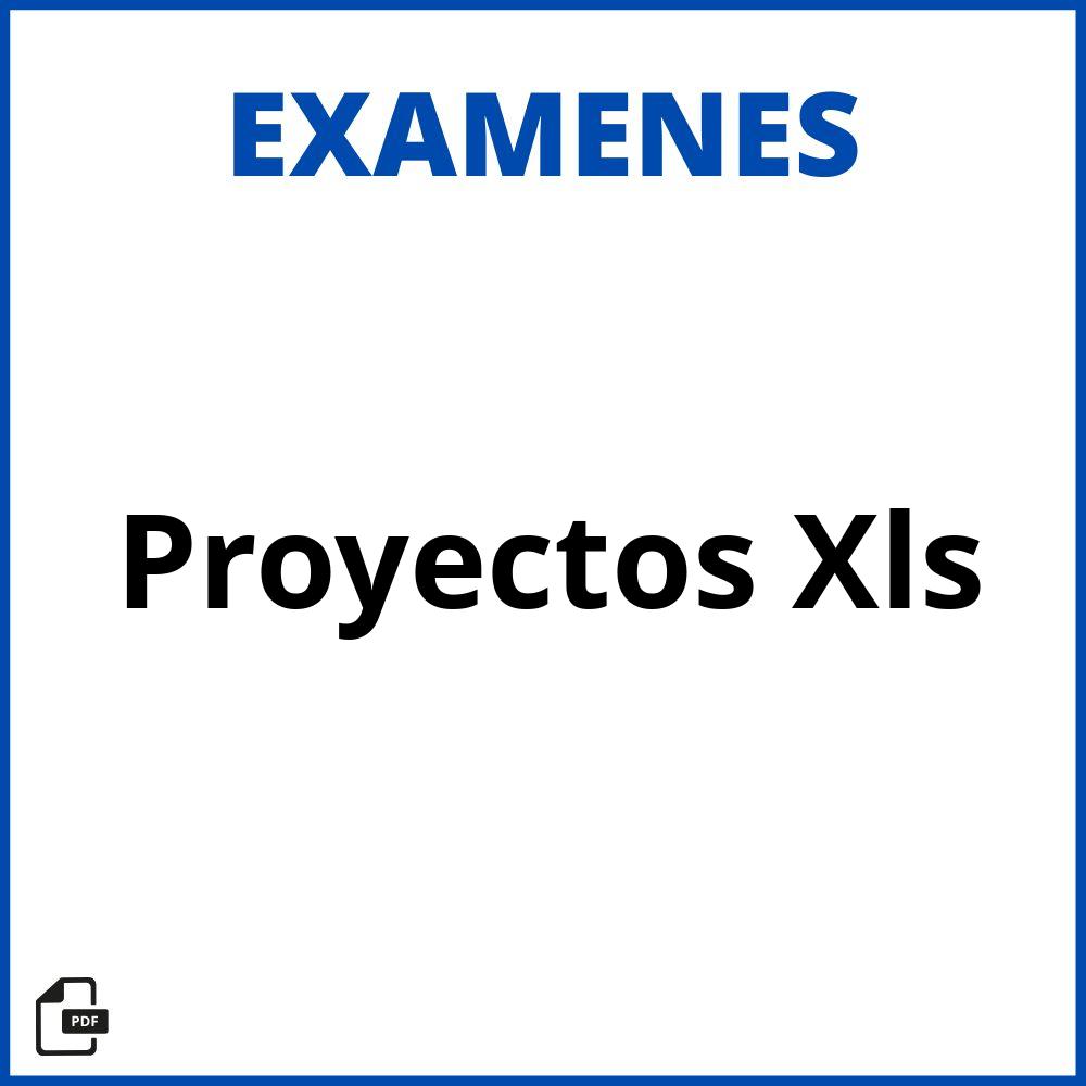 Evaluacion De Proyectos Xls