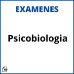 Examen Psicobiologia Resueltos Soluciones