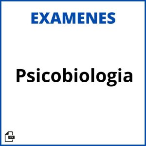 Examen Psicobiologia Resueltos Soluciones