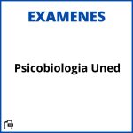 Examen Psicobiologia Uned Resueltos Soluciones