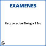 Examen Recuperacion Biologia 3 Eso Soluciones Resueltos