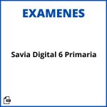Examenes Savia Digital 6 Primaria Resueltos Soluciones