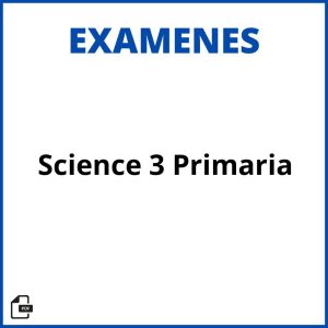 Examen Science 3 Primaria Resueltos Soluciones