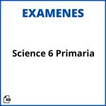 Examenes Science 6 Primaria Soluciones Resueltos